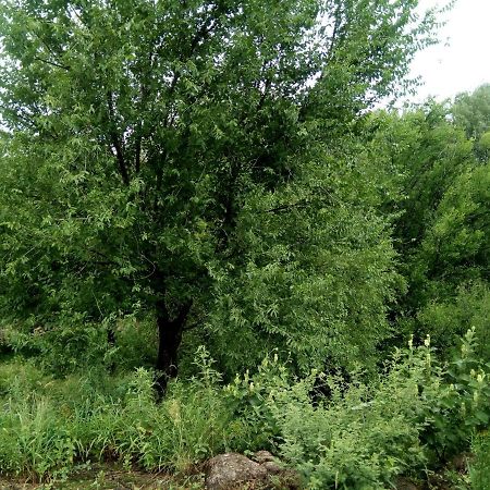 Cabanas Farah Estancia Vieja Ideal Para 2 A 3 Huespedes Вілья-Карлос-Пас Екстер'єр фото