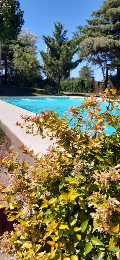 Cabanas Farah Estancia Vieja Ideal Para 2 A 3 Huespedes Вілья-Карлос-Пас Екстер'єр фото